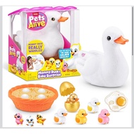 ZURU PETS ALIVE MAMA DUCK