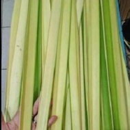 Daun Janur Kelapa