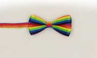 Fashionable and casual bow tie with rainbow stripes