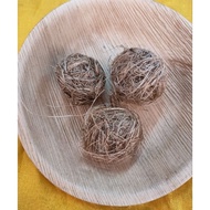 Akar cenuai @Rambut cenuai