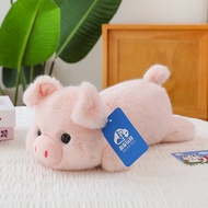 Educational Interactive AI Toy for Kids