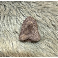 必达  Pidtta  Ck Onn 2555