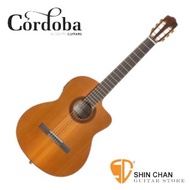 古典吉他 ► Cordoba 美國品牌 C5-CE 單板可插電古典吉他 附琴袋 古典吉他腳踏板 擦琴布 導線