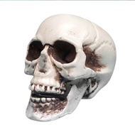 Halloween Party Home Yard Decoration Haunted House Horror Props Halloween Skull Decoration Realistic