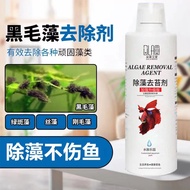 Fish Tank Algae Remover Remove Moss Black Hair Algae Water Algae Moss Green Algae Remover Fish Tank 