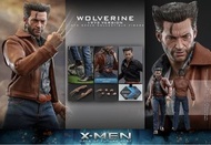 全新未開Hot Toys - MMS659狼人 &lt;&gt; 1:6 Wolverine (1973 Version 普通版