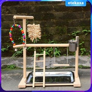 [Etekaxa] Pet Parrot Playstand Bird Playground with Feeder Cups Bells Wood Perch Bird Playpen Budgie