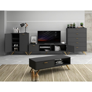 [High Quality✨] Modern Living Set 1.6m TV Console Shoe Cabinet Chest of 5 Drawers Coffee Table Wooden Furniture