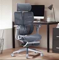 Ergolex ergonomic office chair 人體工學椅