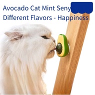 Catnip Avocado Toy Catnip Ball