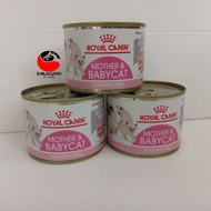 Royal Canin Baby Cat Can 195gr / Royal Canin Wet Food