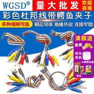 Color Dupont Wire with Alligator Clip Dupont Male Female Head to Alligator Clip Wire Test Clip Wire 