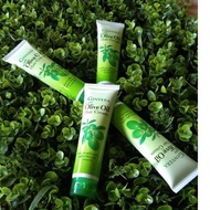 CREAM HAIR GINVERA OLIVE OIL