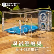 Double Test Tube Ant Nest Pet Ant Nest Acrylic Ant Nest Ant Castle Bamboo Nest Ant Workshop Pet Ant 
