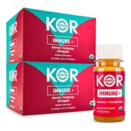 Kor Shot Acerola Ginger and Cordyceps Shot - 24 Pack x 1.7 Fl Oz - Immune Plus - Immune System Boost