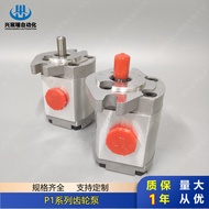 P1Series Quantitative Gear Pump P101 P102 P127 P135 P104 P105 P106 P107 P109