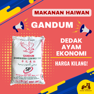 Gandum Makanan Haiwan / Makanan Ayam Biji Gandum / Biji Gandum Bersih / Wheat / 麦粒 - Repacking [1KG]