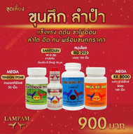 🎯ชุดขุนศึกลำปำtendon+sanB+ibdกลาง+rx8000🎯? (ร้านขายอาหารนก ไก่ อาหารสัตว์เล็ก)