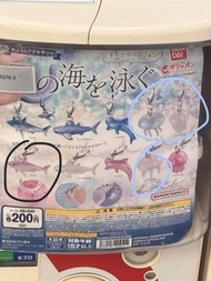 海洋生物 水母扭蛋 放/換