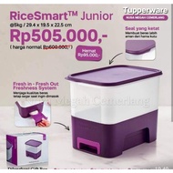 Rice smart