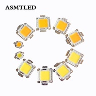 【Worth-Buy】 Asmtled High Power Led Cob Chip 9-12V 30-38V 10W 20W 30W 50W 100W สีขาว/ไฟ Led แสงสีขาวอุ่นหลอดไฟชิป Smd Floodlight Spotlight