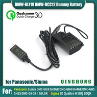 QC3.0 BP-61 DMW-BLF19 Dummy Battery DMW-DCC12 &amp; Power Bank USB Cable for Panasonic DMC-GH3 GH4 GH5 GH5s G9 II G9L GK for Sigma SD Quattro H SDQ SDQH Cameras