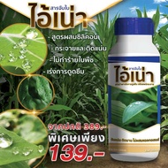 ไอ้เน่าจับใบ สารจับใบ สารนำพา เร่งการดูดซึม  ไอ้เน่า ปุ๋ยน้ำ500ml