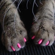 Pet Nail Cover Anti-Scratch Cover Dog Cat Nail Cover Cat Dog Paw Cover Anti-Cat Scratch Teddy Nail C