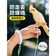 Parrot Leash Out to Release Bird Leash fbn26888180. my20260409