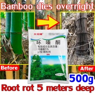 Bamboo died overnight Bamboo killer racun pokok buluh 500g racun pokok besar Tree killer Concentrate