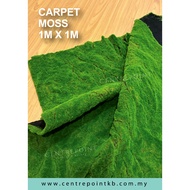 Carpet Moss 1M X 1M / Karpet Moss