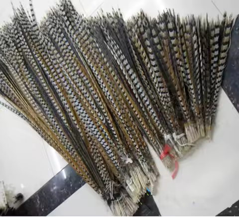 Wholesale 50 / lot beautiful natural pheasant feathers 12-64 inches /30-160 cm DIY dance celebration