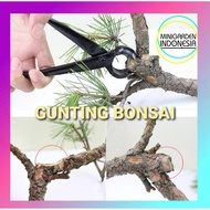 Bonsai SCISSORS Vise Cutter Flower Branches Bent Twigs Tidying Up Garden More Practical Knob Cutter