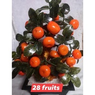 28pcs Kiat kiat Money tree Charms Display