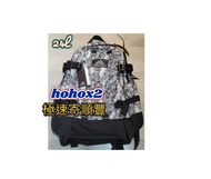 🈶現貨 GREGORY ALL DAY V2.1 24L背包 白樹紋