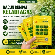 Loyant china (keladi agas) tidak kacau padi