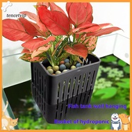 Aquatic Plant Stand Aquarium Plant Holder Set for Aquascape Decoration Top Hanging Fish Tank Planter