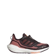 Women's Ultraboost 22 Gore-tex Running Shoes