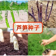 {Makoto} Ready stock  Asparagus Seed 20 pcs