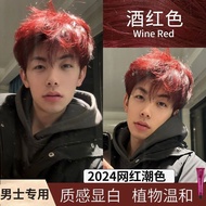 Recommended Wine Red Hair Dye Cream Men Dedicated 2025 Hair Dye Color Brown Red Students Dye Hair at