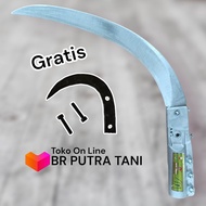 GRATIS TAJI / JALU.EGREK CAMEL KING STAR 111 PREMIUM. Peralatan Kebun