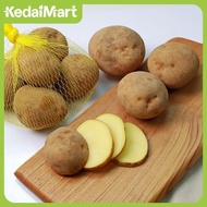 Kentang 1 Kg