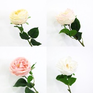 Virtual English Rose Fake