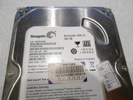 Seagate 500G ST3500418AS （31）3.5吋 硬碟【無壞軌、無異音】