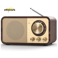 FM Radio Portable Transistor Radio Multifunctional Radio