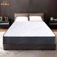 Spring Mattress From Super Soft Queen Size Mattress Independent From Simmons 25Cm Thick Cushion wuya