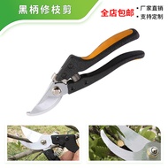 Pruning Shears Garden Shears Pruning Branches Fruit Tree Shears Gardening Shears Pruning Shears Labo