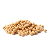 200G & 500G Kacang Soya & Soy Bean Canada / 黄豆加拿大