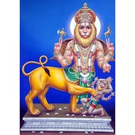 Sarabeshwarar -A4 size photo print