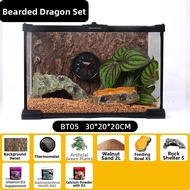 BARBAROUS GROWTH | Rainforest Terrarium For Crested Gecko Leopard Gecko
